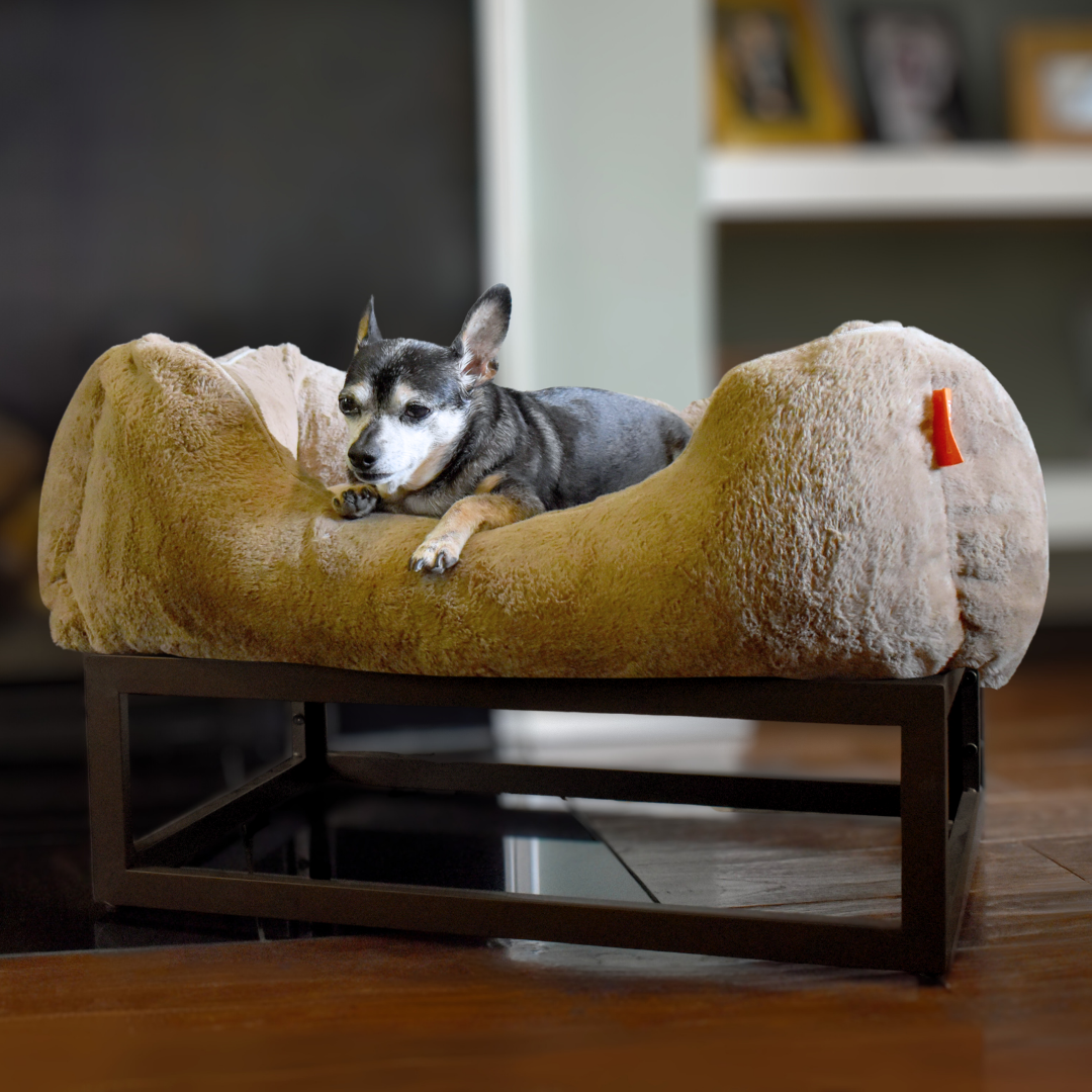 The FUZI Elevated Dog Bed