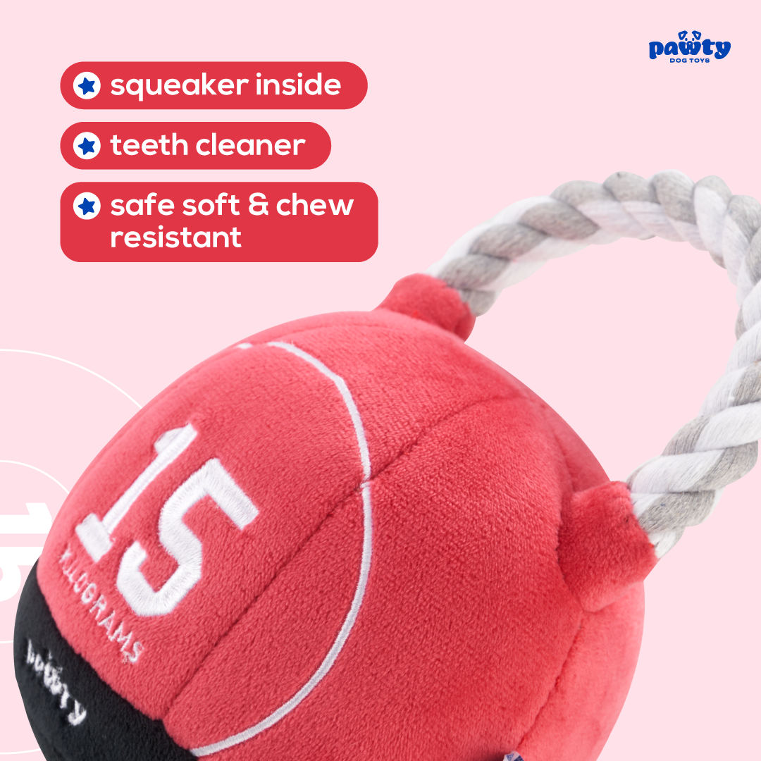 Pawty Kettlebell Rope and Plush Squeaky Dog Toy