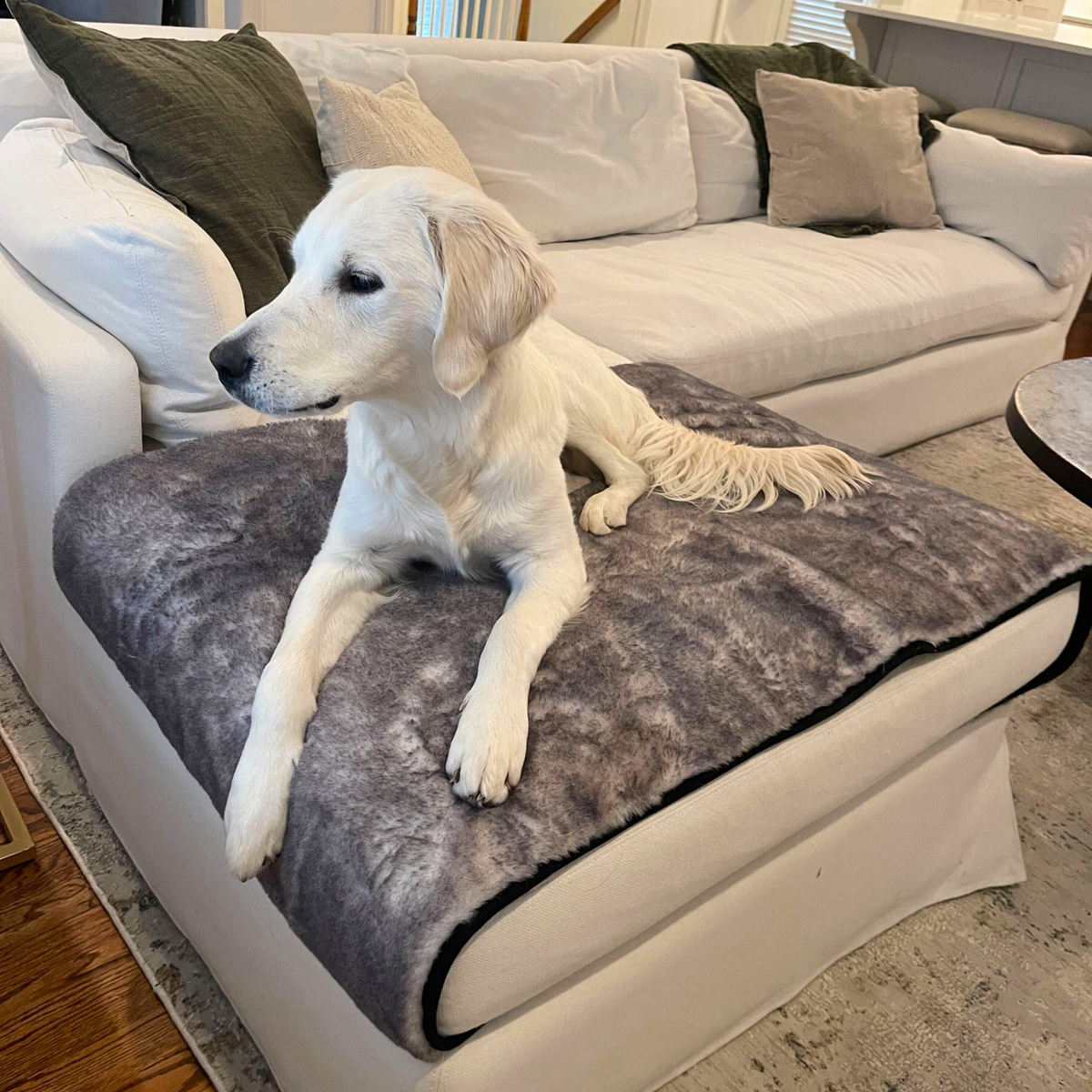 PupProtector Luxe Waterproof Bed Runner Ultra Soft Chinchilla