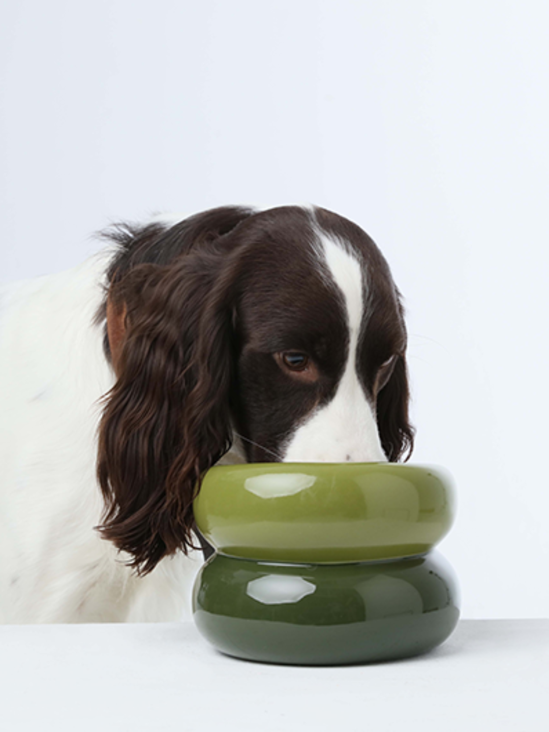 Souffle Pet Bowl-Avocado Green
