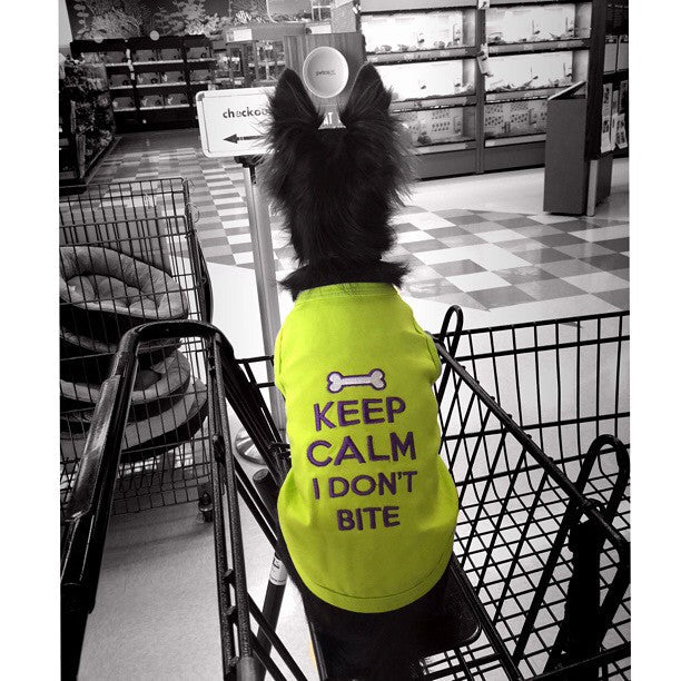 Parisian Pet Keep Calm T-Shirt for Dogs & Cats  Fun & Relaxing Pet Apparel, Light Green