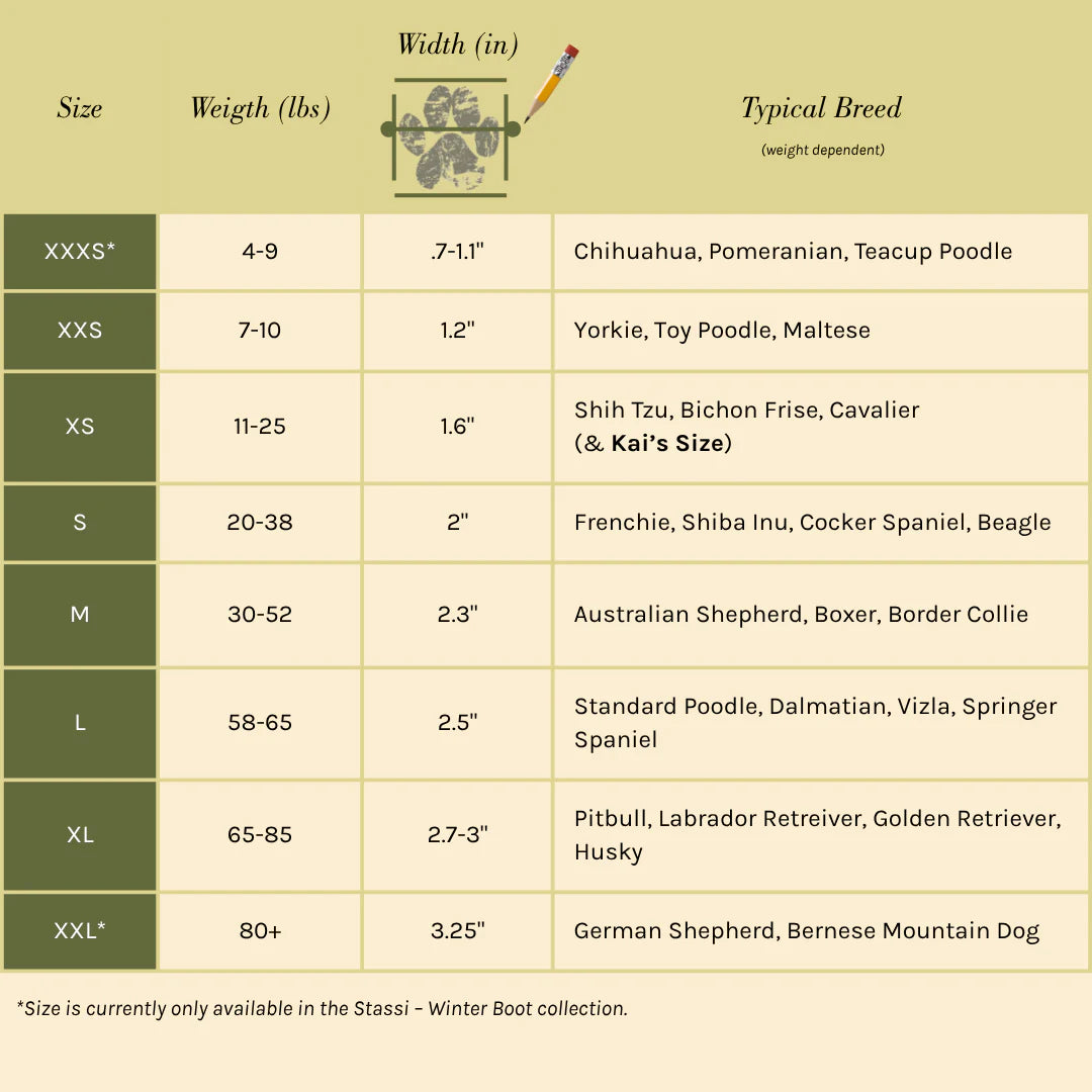 The Stassi- Snow Boots for Dogs