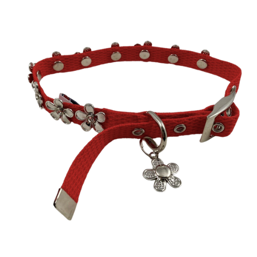 Huxley and Kent- Lucy Dog Collar