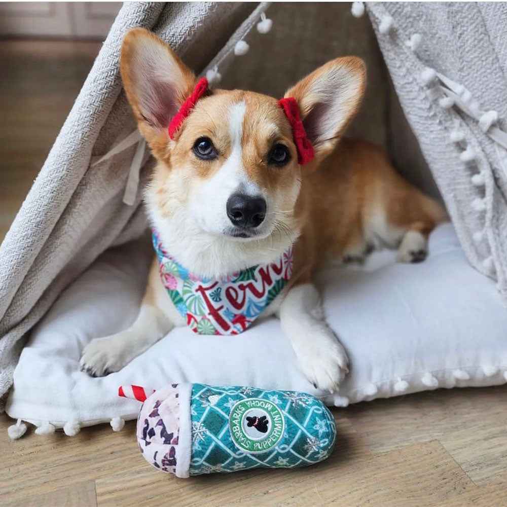 Haute Diggity Dog Starbarks Puppermint Mocha Green Stars Cup & Bone Plush Dog Toy