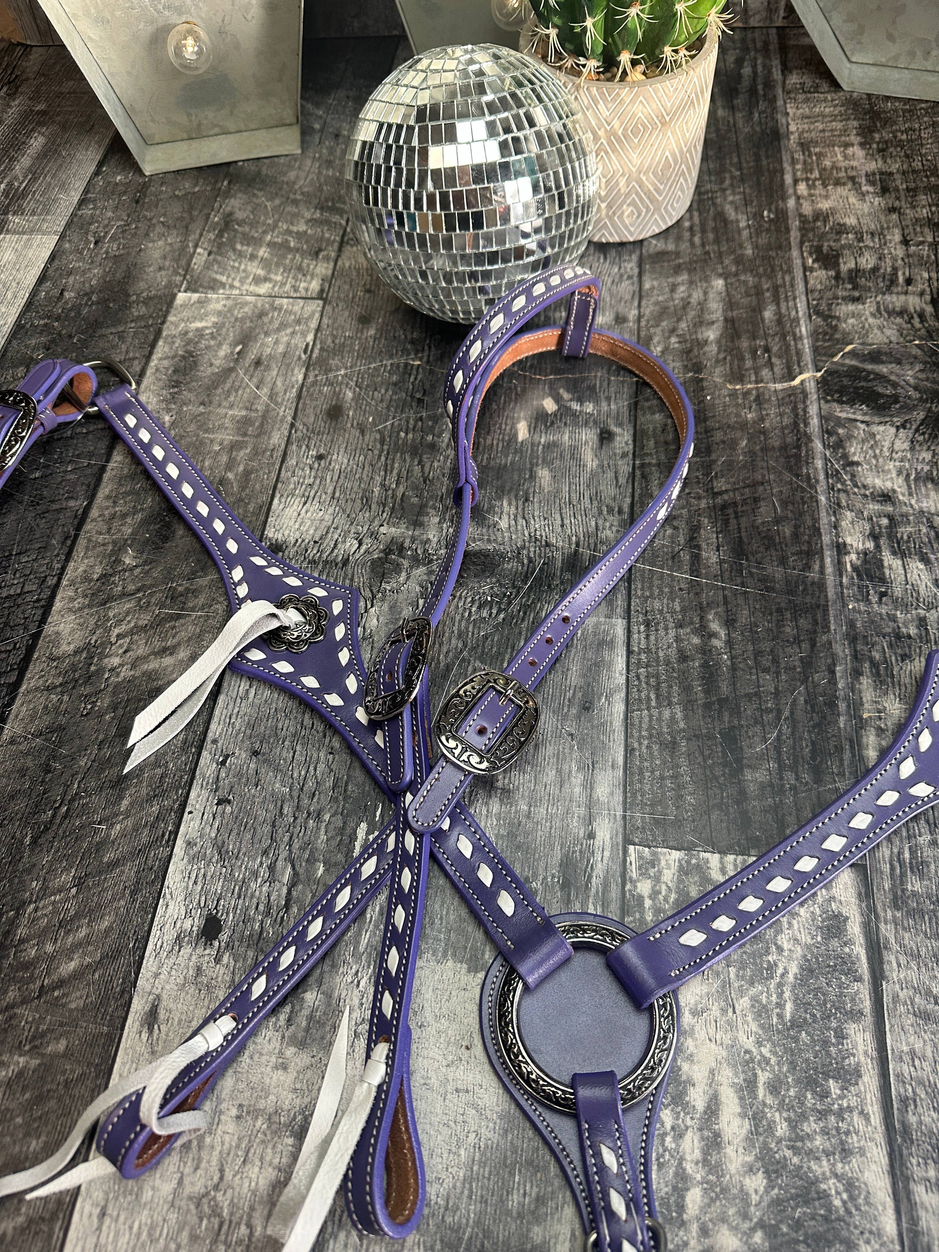 Buckstitchin Beauty Purple Tack Set