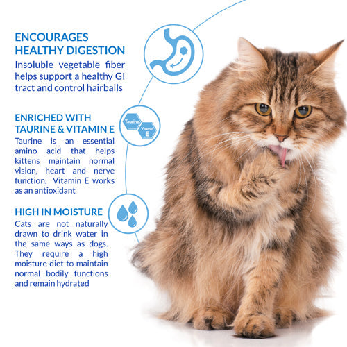 Inaba Churu Cat Hairball Control Chicken Recipe (2oz)