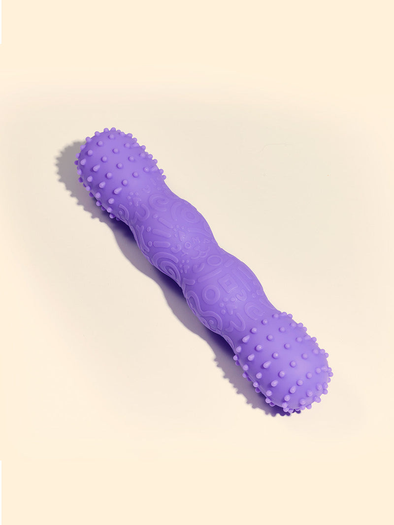 ToothBuddy Dog Chew Toy