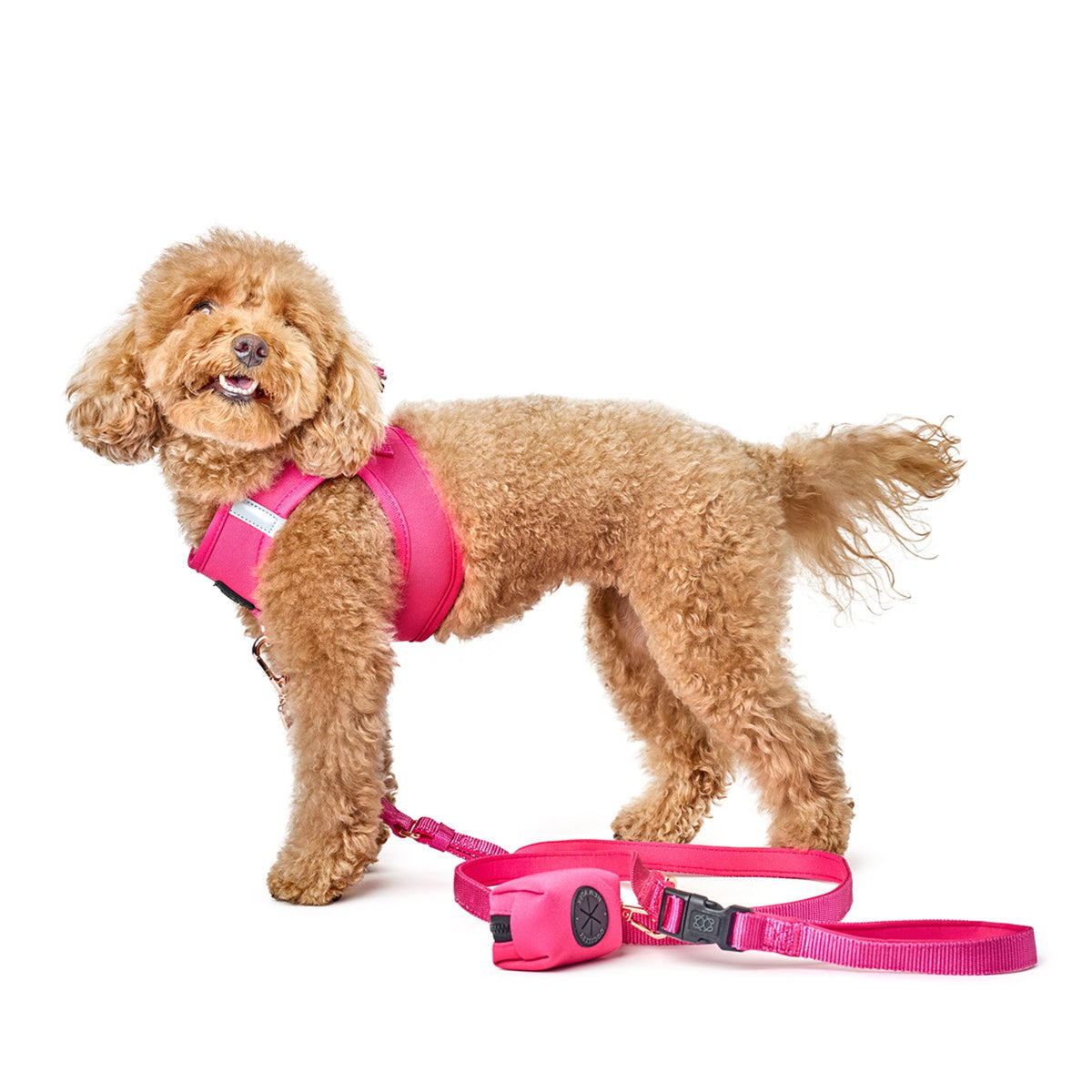 DOGISTRY 3-in-1 City Dog Leash - Park Ave Pink