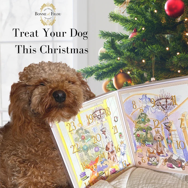 Bonne et Filou – Dog Treat Advent Calendar with 24 Holiday Treats