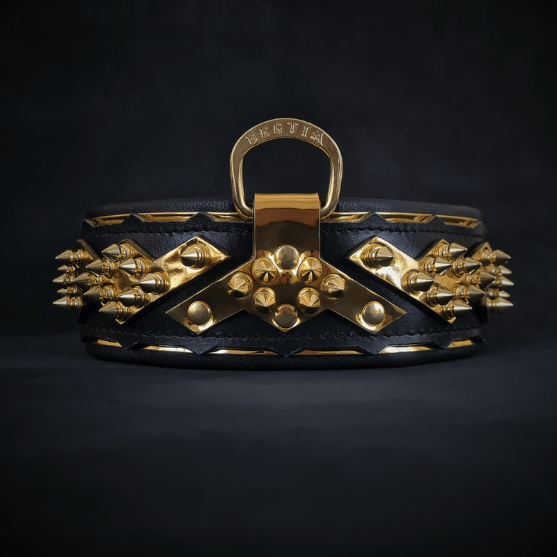 Bestia Dog Gear The Midas Collar Gold Genuine Leather Gold pet supplies