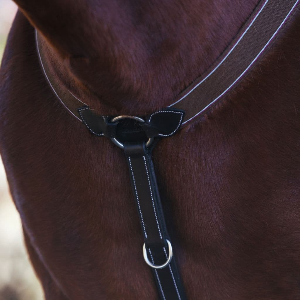 ExionPro Heart Shape 3 Point Breastplate - Matching Elastic - HT Animal Supply