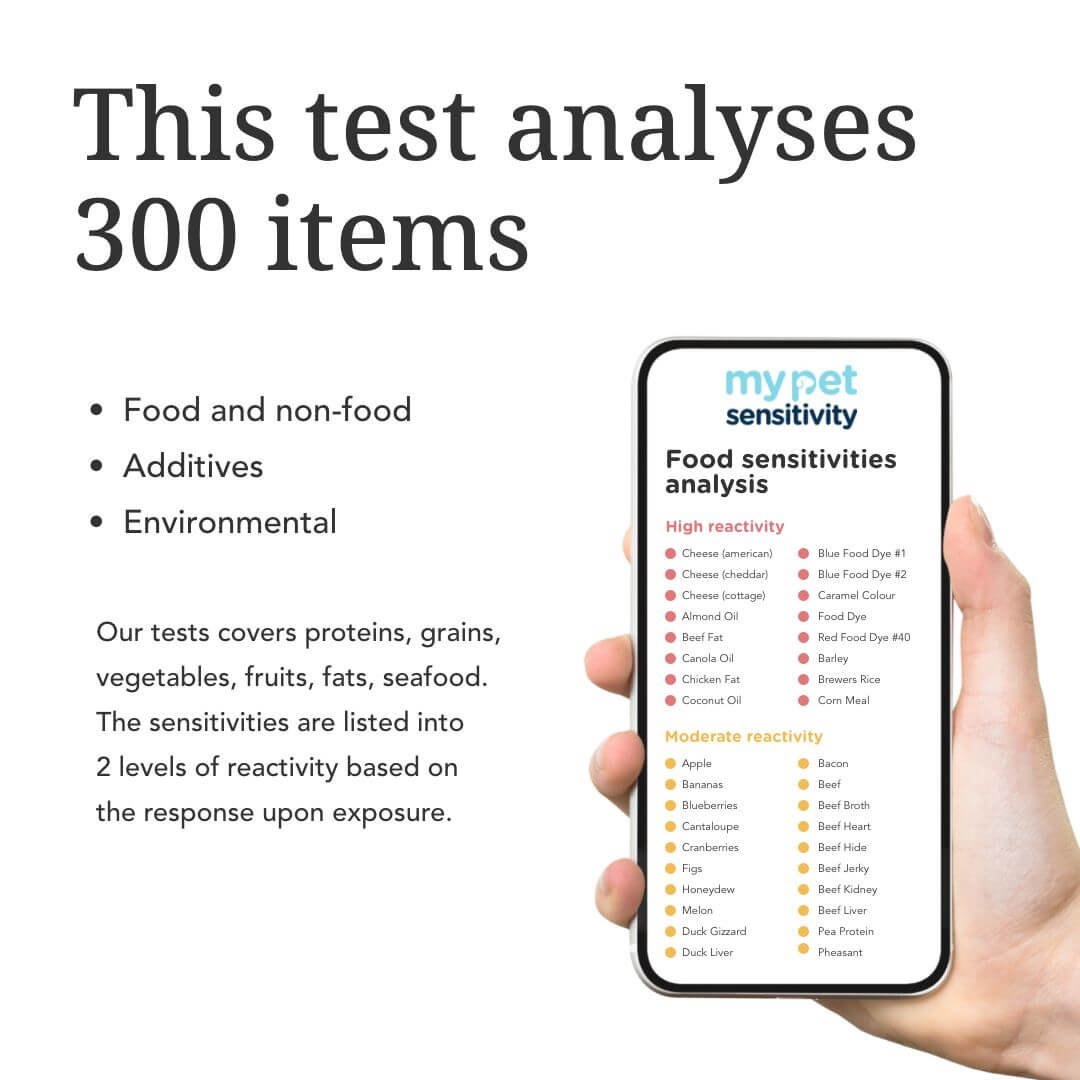 Basic Dog Intolerance Test