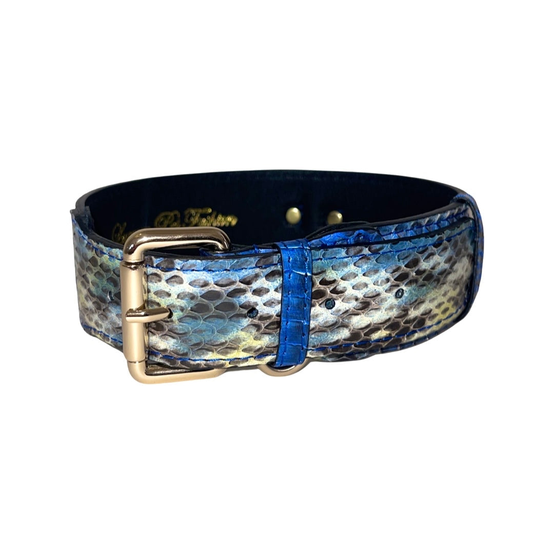 Allysa Payne Multi-Blue Tone Snake Classic Dog Collar