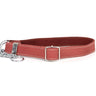 Martingale Coral Reef Leather Dog Collar