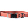 Sport Style Coral Reef Leather Dog Collar