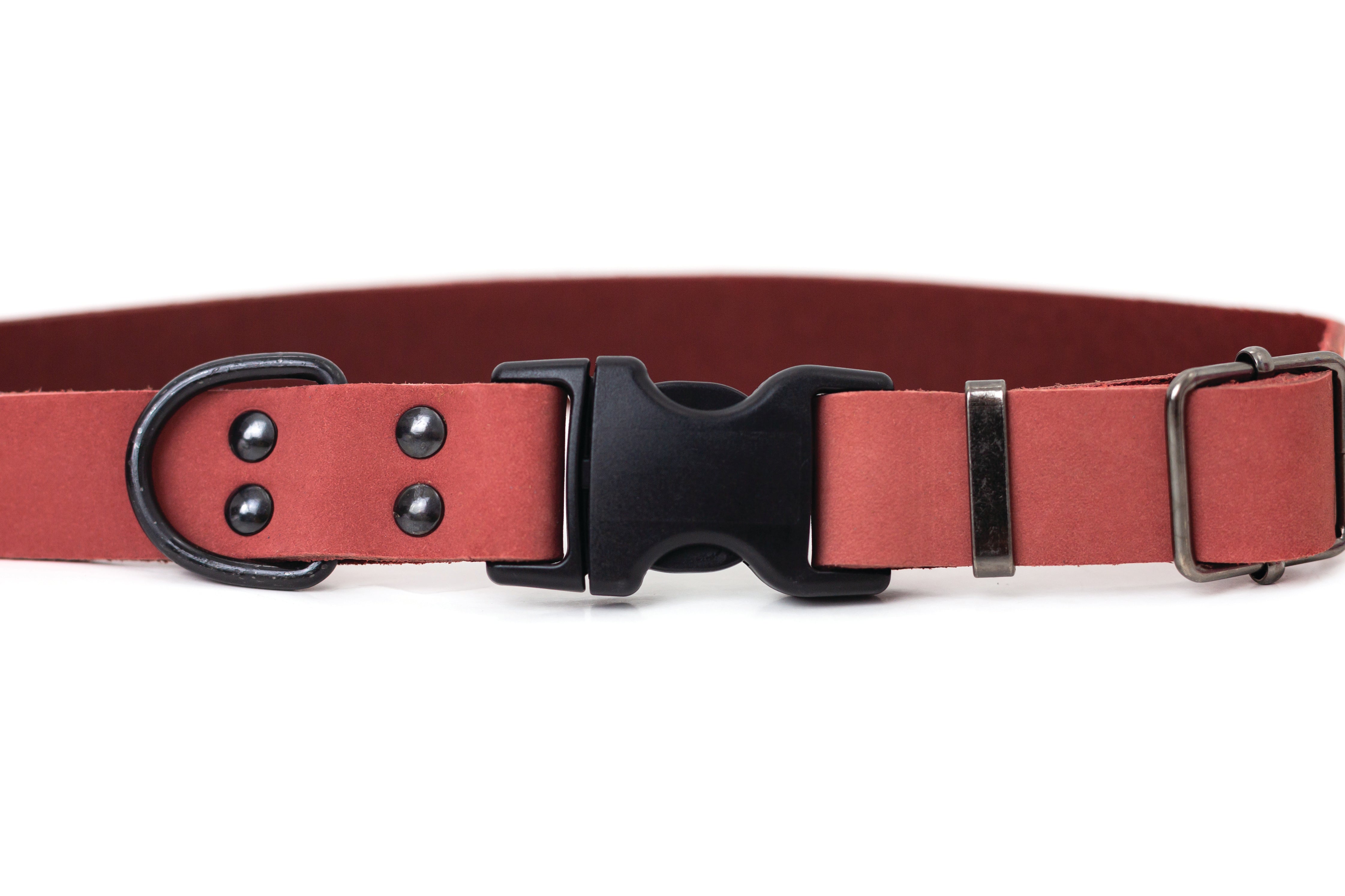 Sport Style Coral Reef Leather Dog Collar