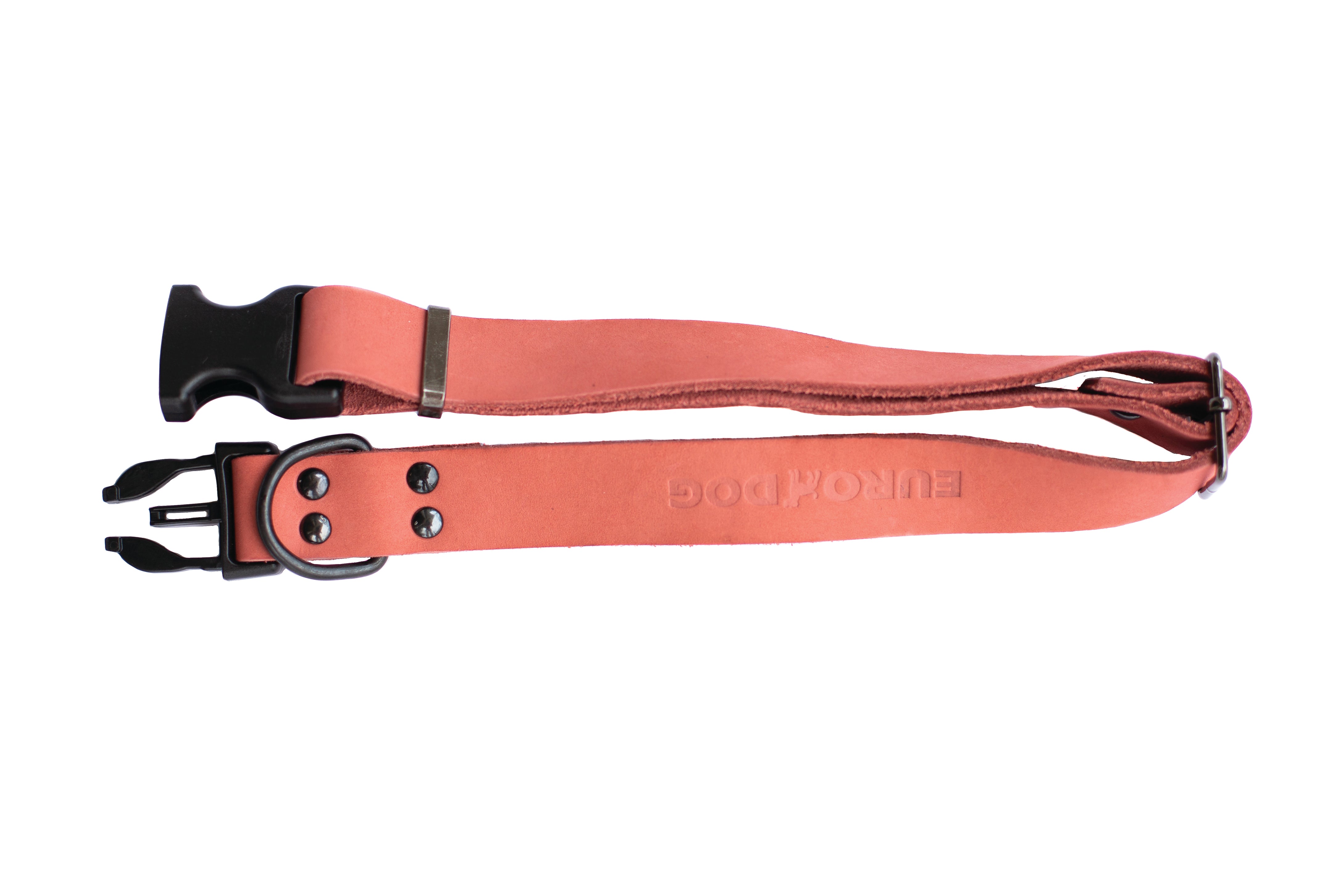 Sport Style Coral Reef Leather Dog Collar