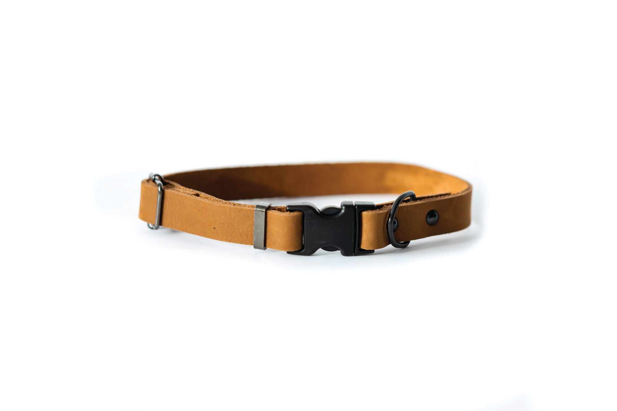Euro-Dog Sport Leather Dog Collar