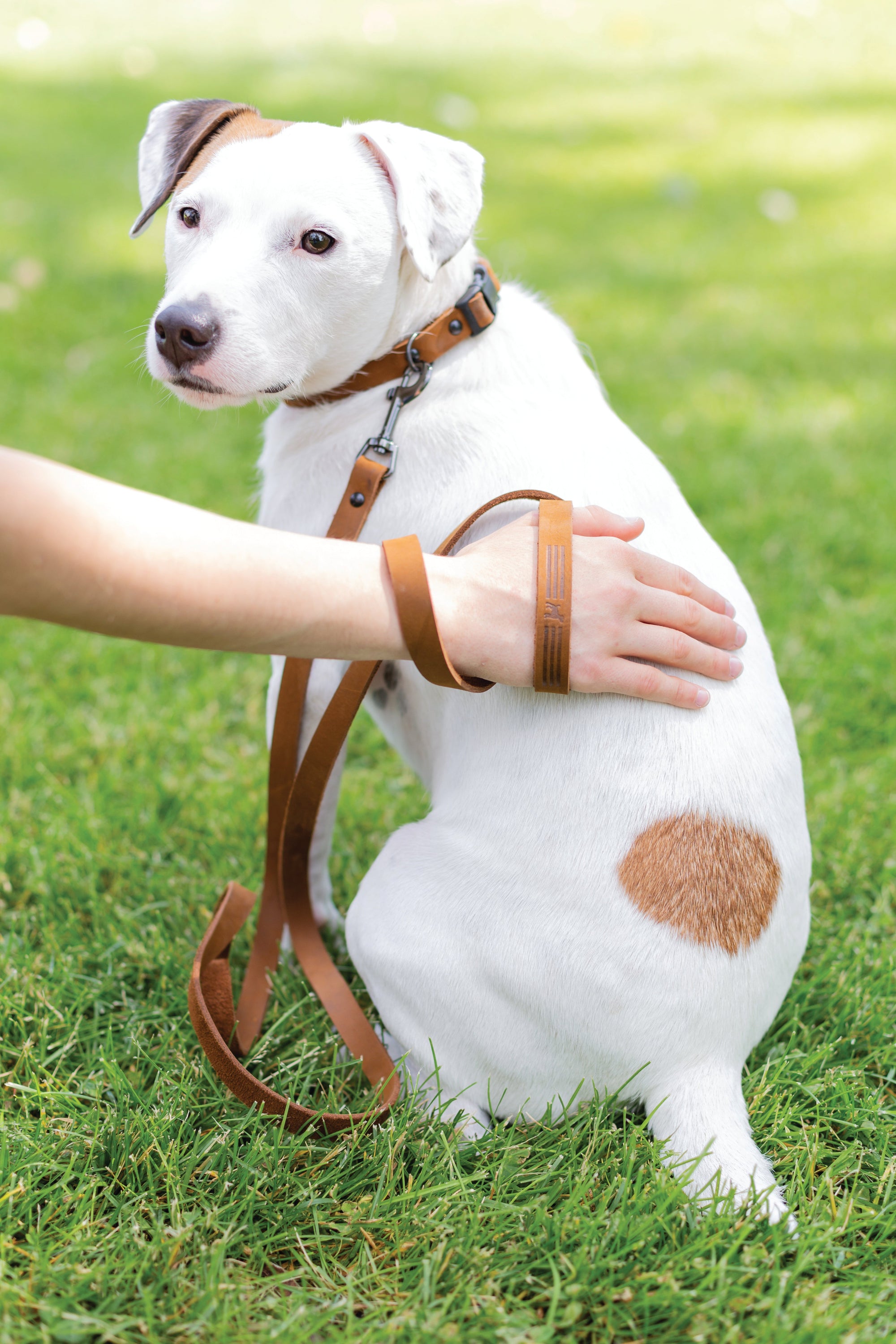 Euro-Dog Sport Leather Dog Leash