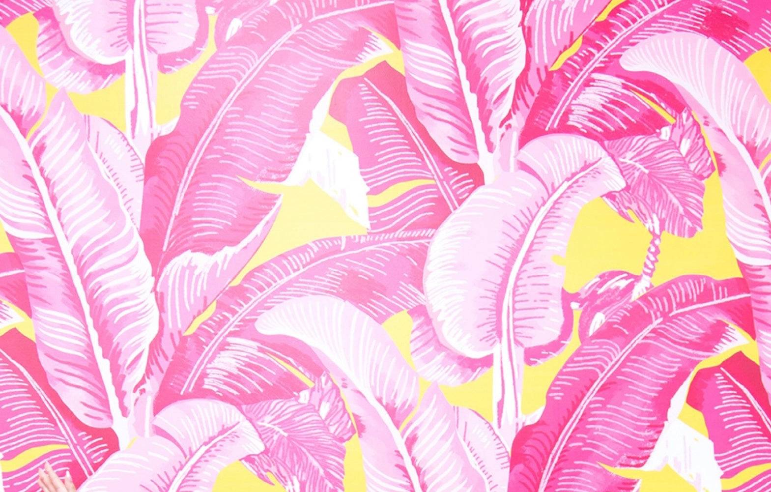 The Birds of a Feather Dog Harness