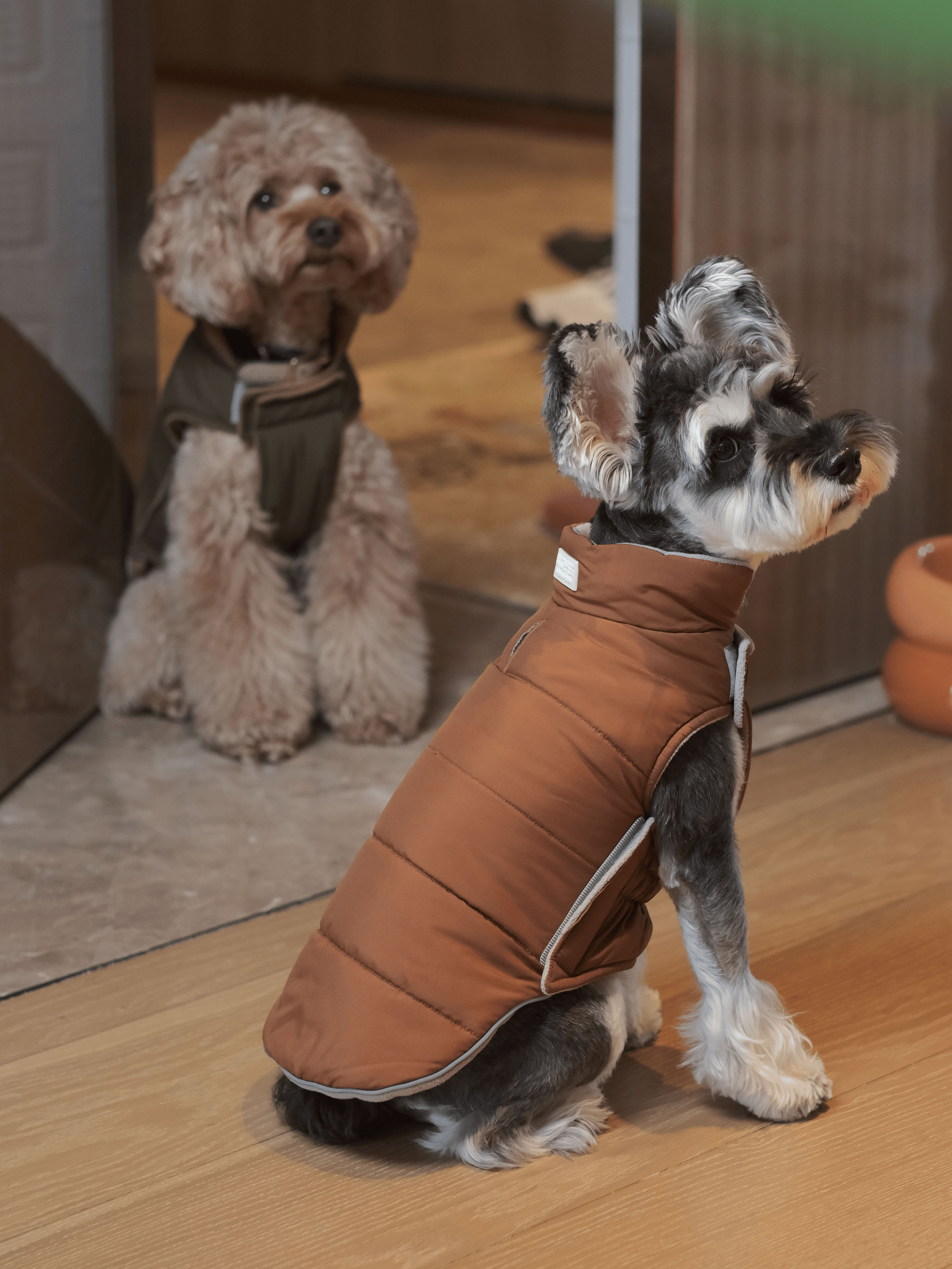 Reversible Dog Vest Jacket-Orange Grey