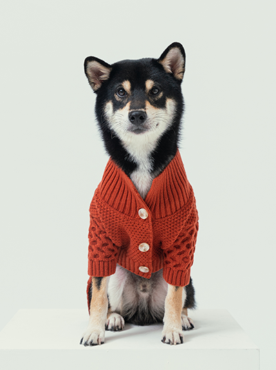 Bert Cardigan Sweater-Orange