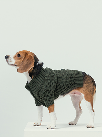 Bert Cardigan Sweater-Dark Green