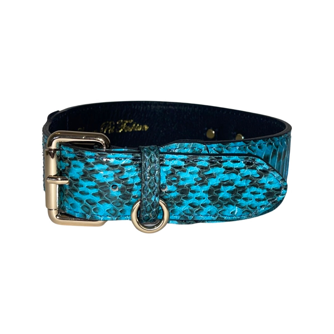Allysa Payne Turquoise & Black Classic Snake Dog Collar With Gold Hardware