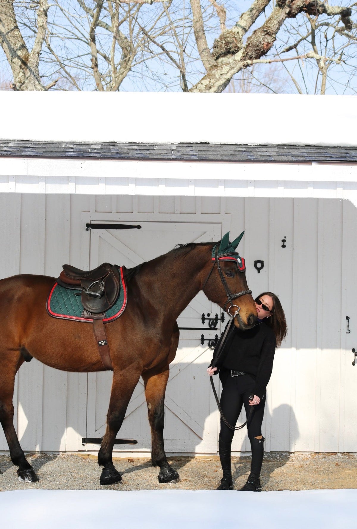 San Eligius green quilted jump saddle pad with red and brown leather piping, angled view on horse