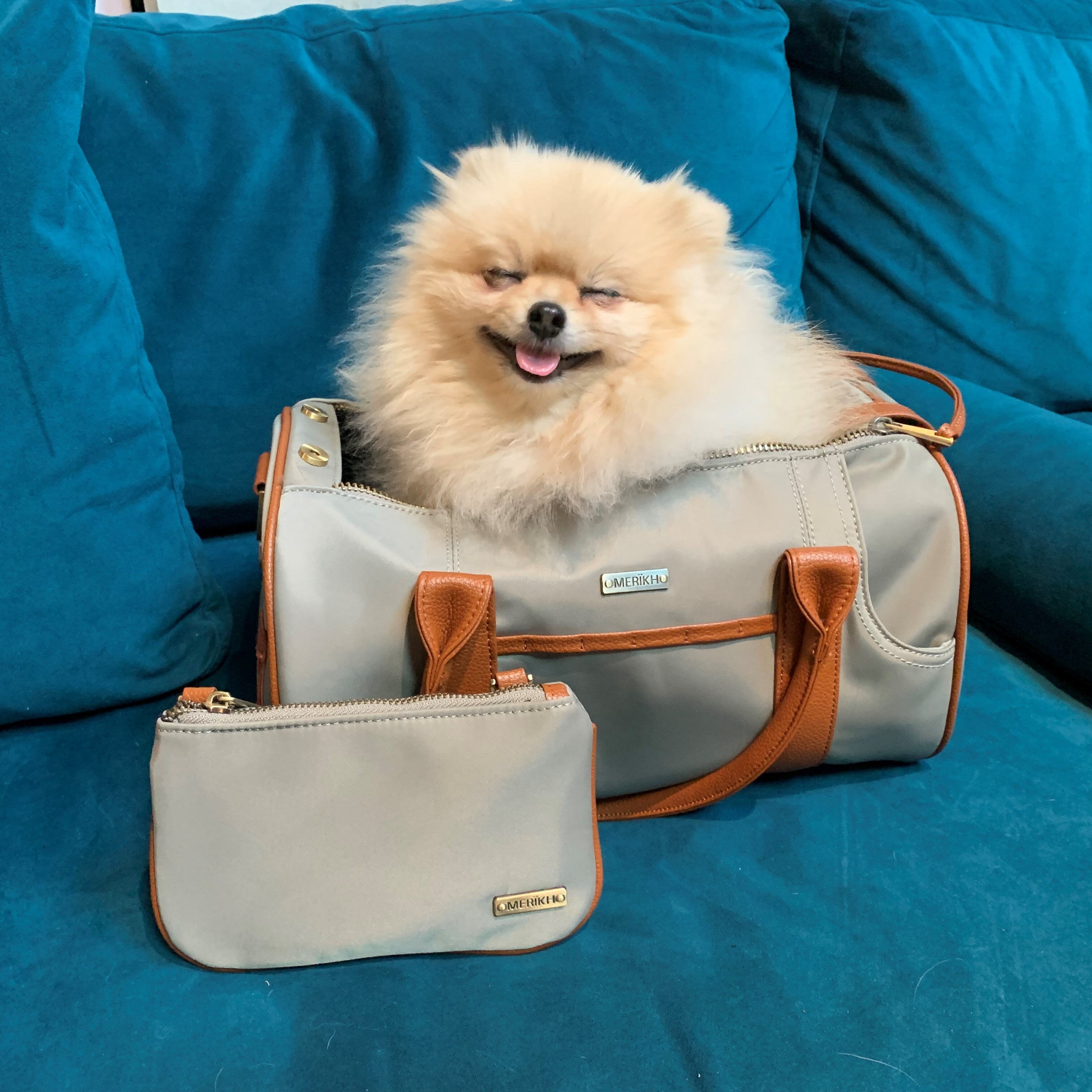 Small Beige Pet Carrier and Multifunctional Bag