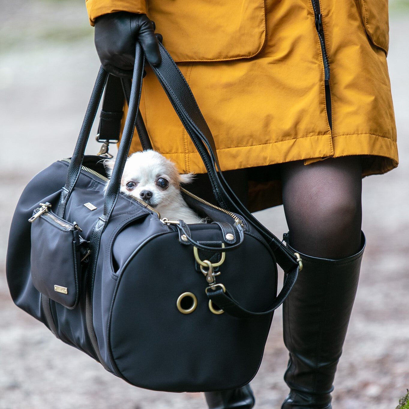 Large Pet Carrier and Multifunctional Bag in Black