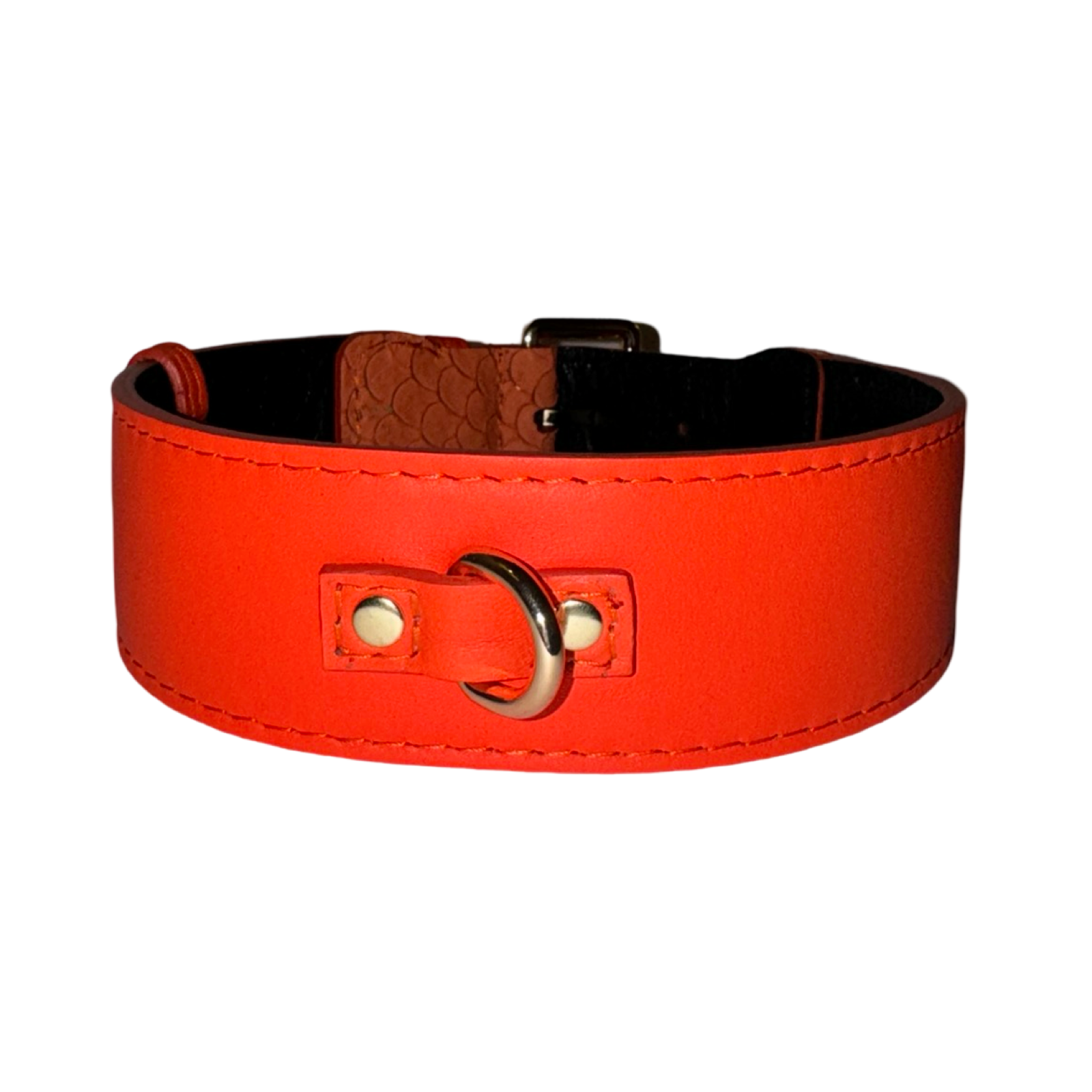Allysa Payne The Perfect Orange Classic Dog Collar