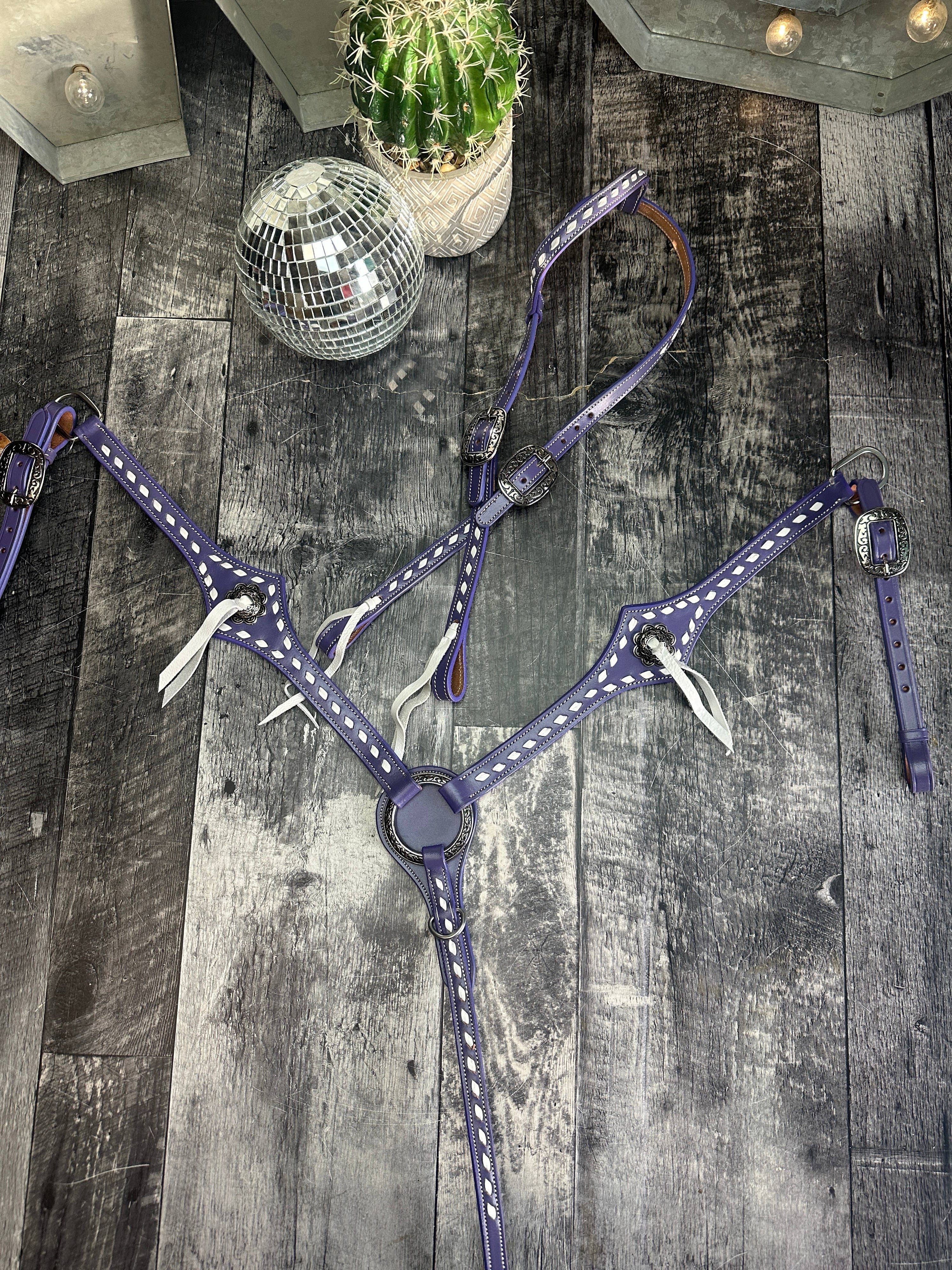 Buckstitchin Beauty Purple Tack Set