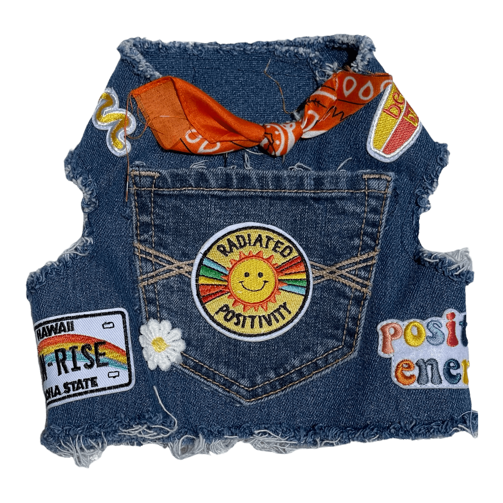 Heads or Tails Pup Positivity Summer Denim Dog Harness