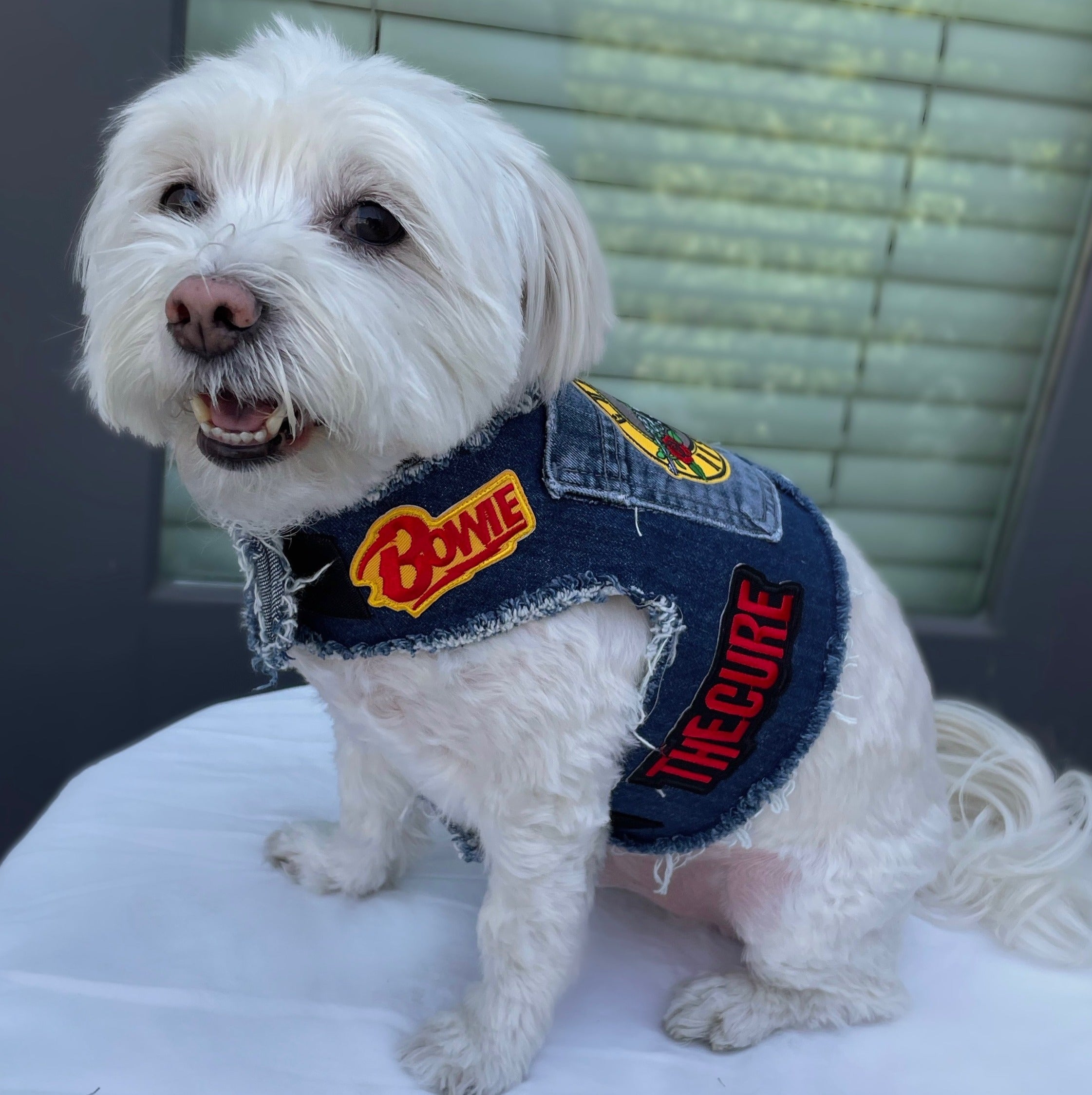 Black Sabbath Harness