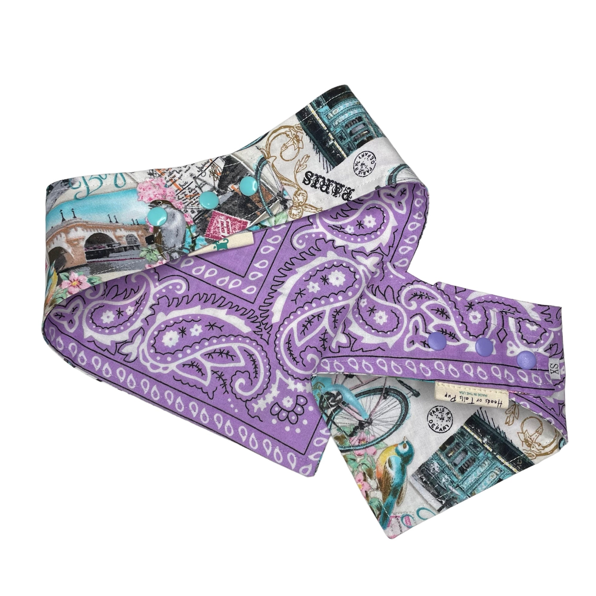 Heads or Tails Pup Reversible Paris Pink Purplele Dog Bandana
