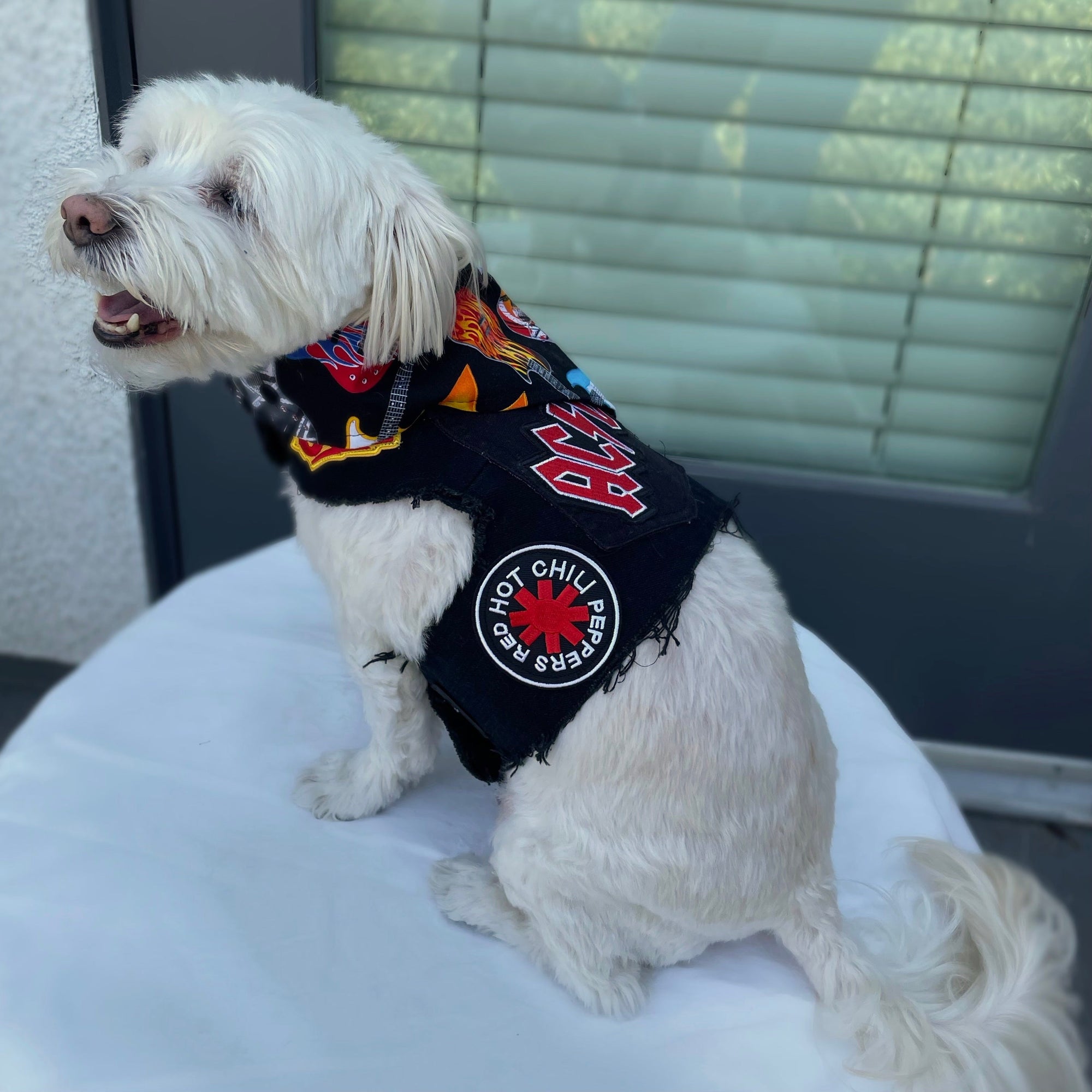 Heads or Tails Pup Reversible Guitar Black Red Dog Bandana
