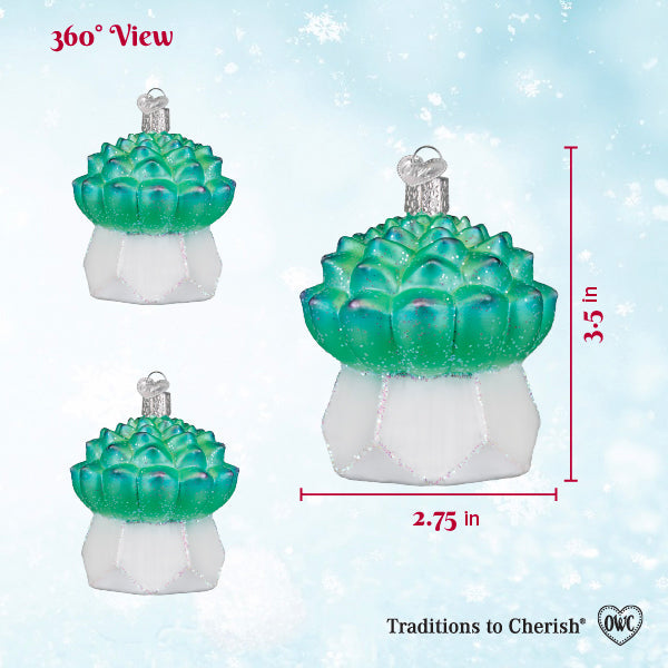 Old World Christmas: Echeveria Succulent Christmas Ornament