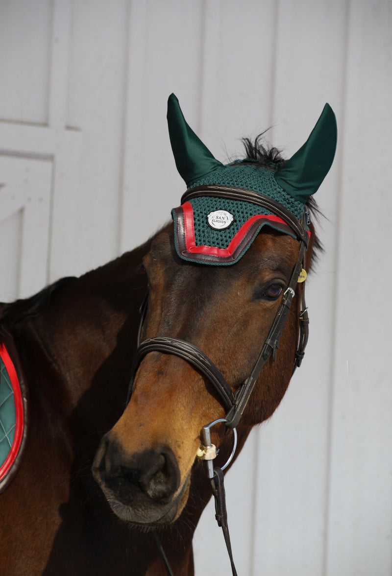 San Eligius green knit horse bonnet with brown and red leather piping on horse