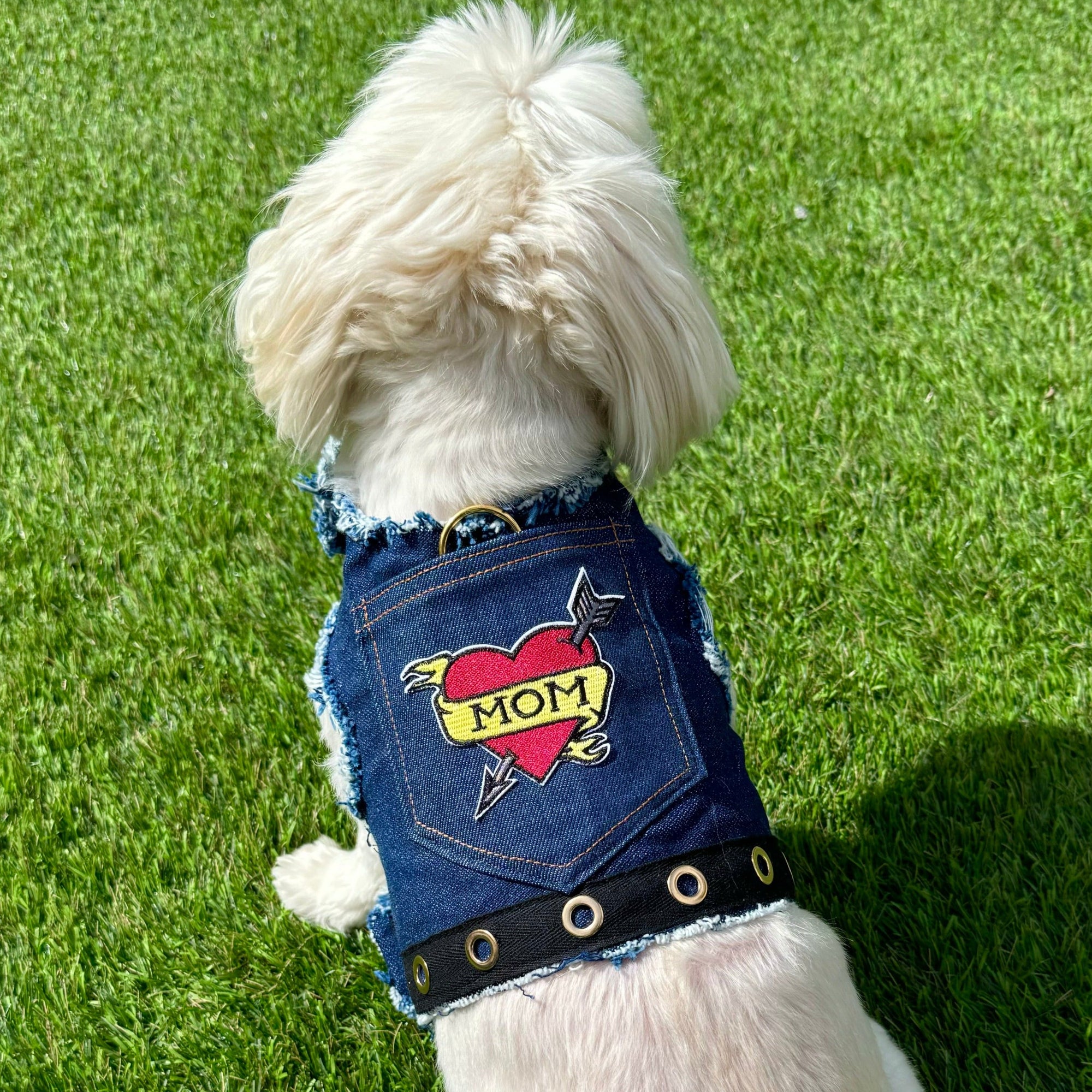 Heads or Tails Pup Love Mom Denim Dog Harness