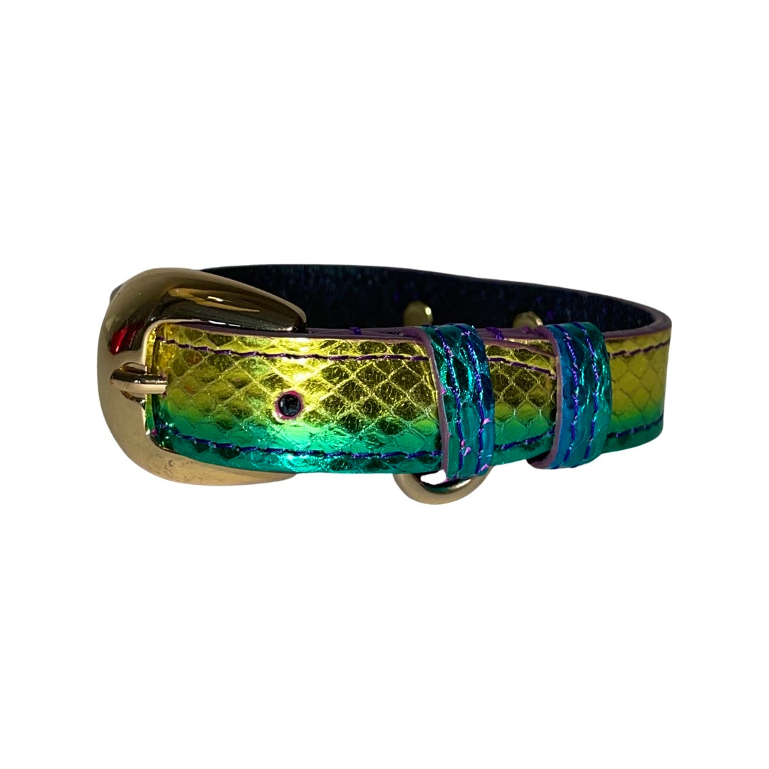 Allysa Payne XS/S 7"-14" Yellow/Green/Red Custom Snake Dog Collar/Custom Gold Italian Hardware