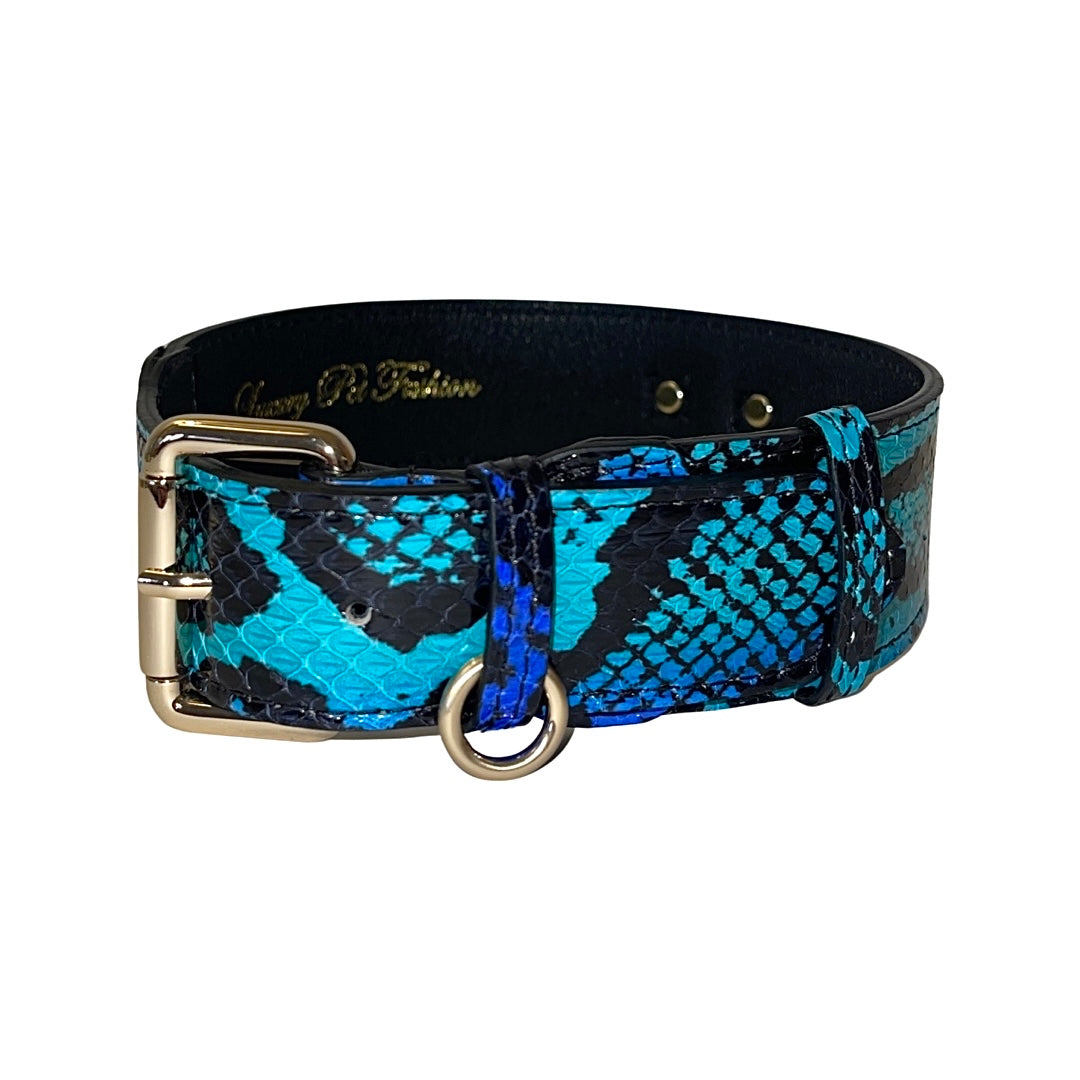 Electric/Turquoise Blue & Black Snake Classic Collar With Gold Classic Hardware