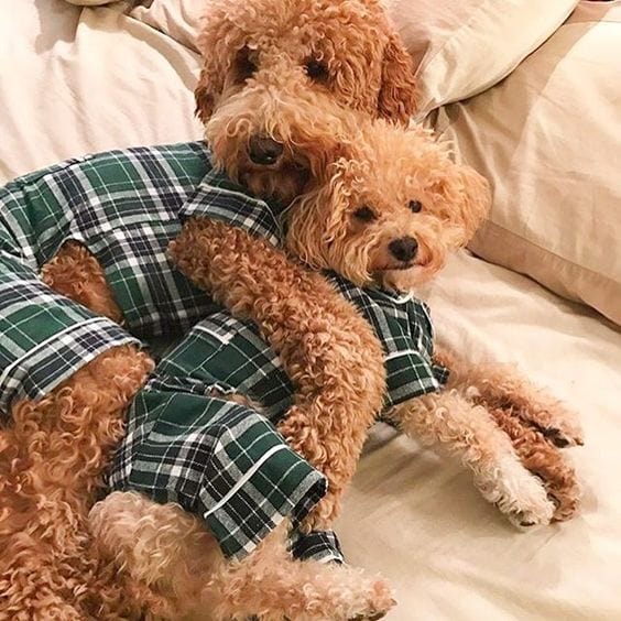 Green Flannel Pajamas 