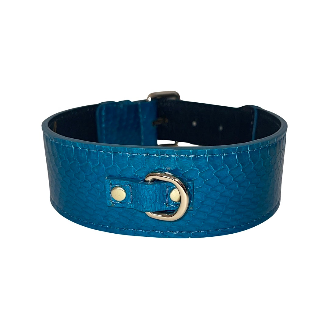 Allysa Payne Dark Turquoise Classic Style Snake Dog Collar With Classic Gold Hardware