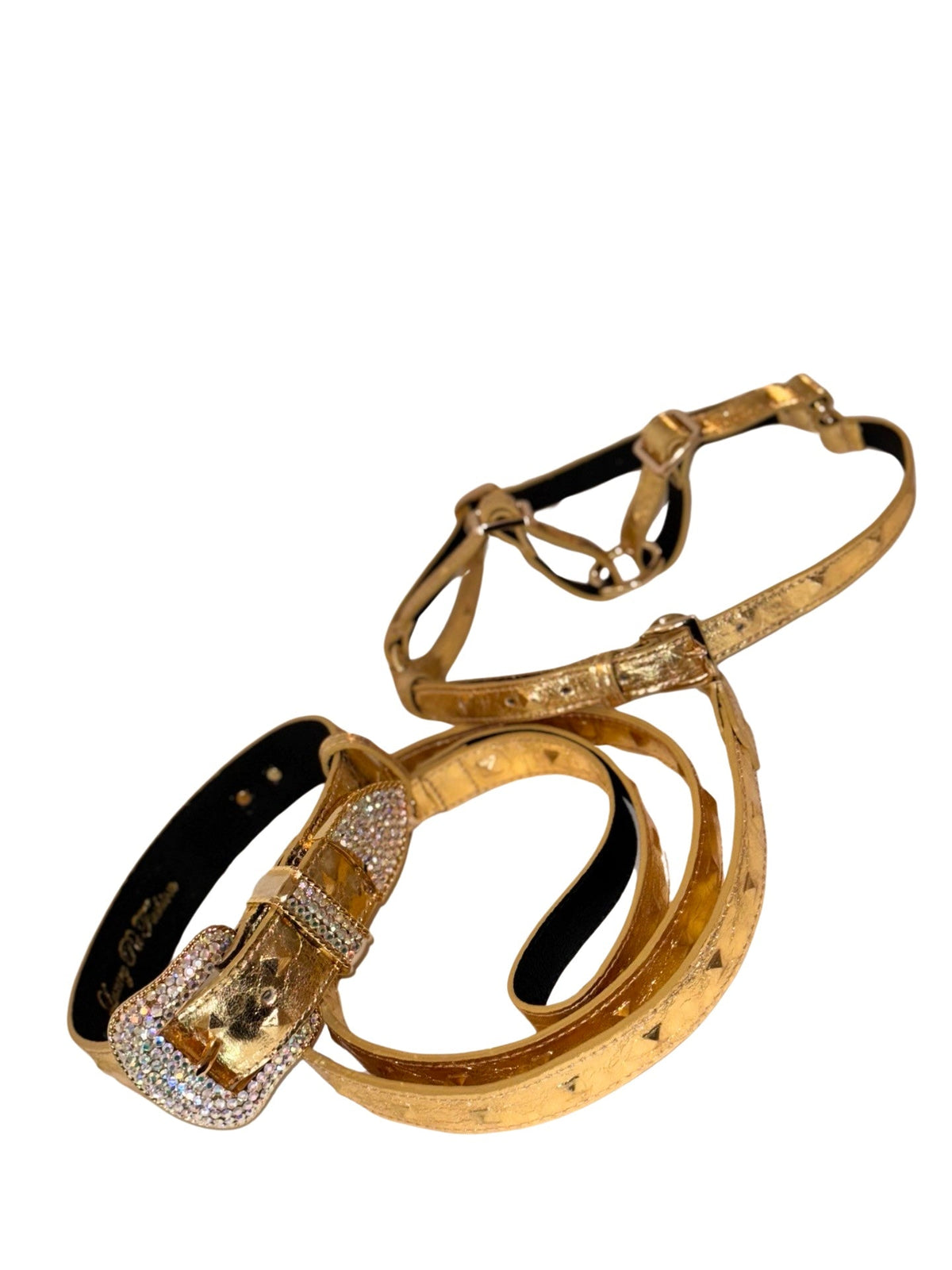 Allysa Payne Glam Gold Embossed Studded Italian Leather With Our Custom Swarovski Crystal Buckle Dog Collar, Leash & Harness Set