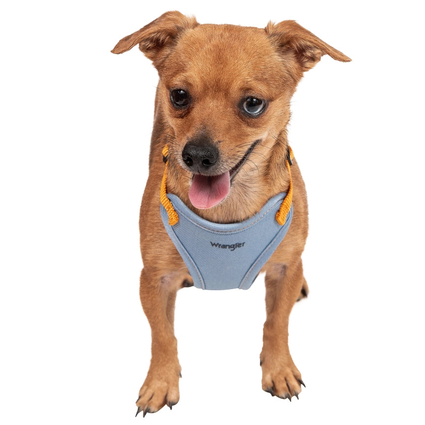 Wrangler® Light Wash Denim Harness, Collar & Lead Set