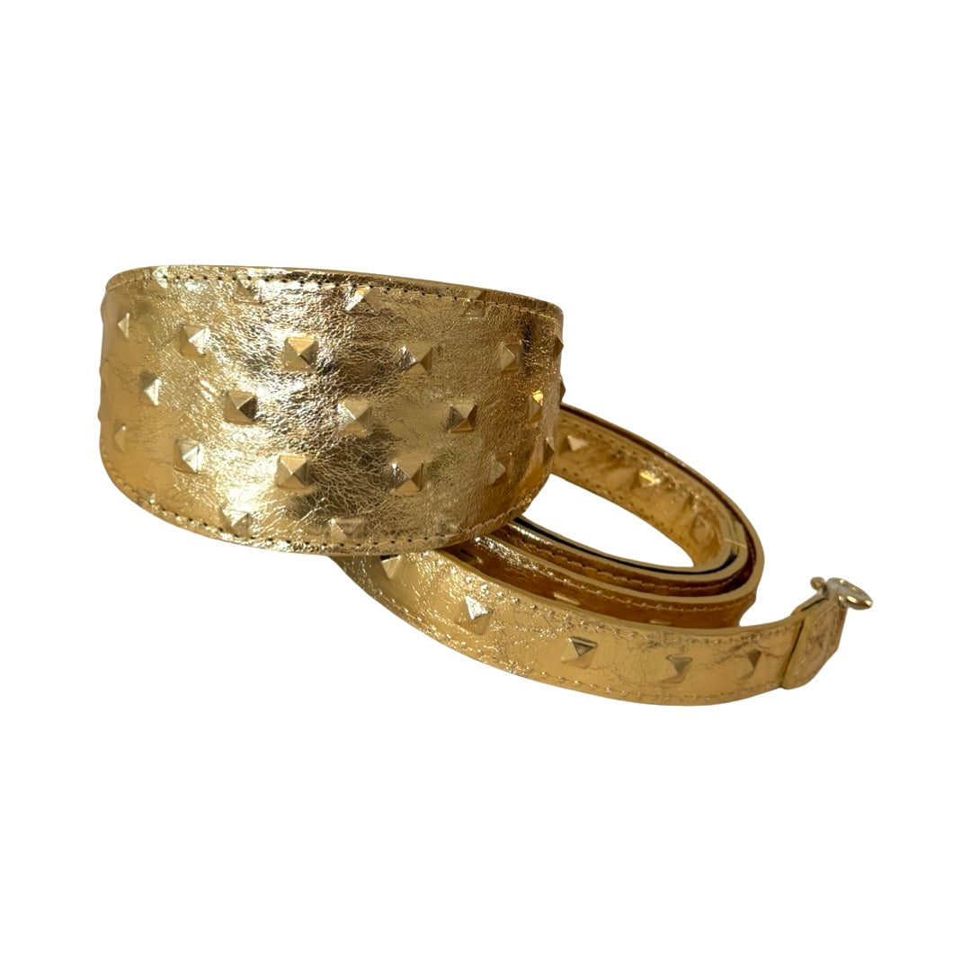 Allysa Payne Glam Gold Embossed Studded Italian Leather 3-Inch Wide Style Dog Collar & Leash Set