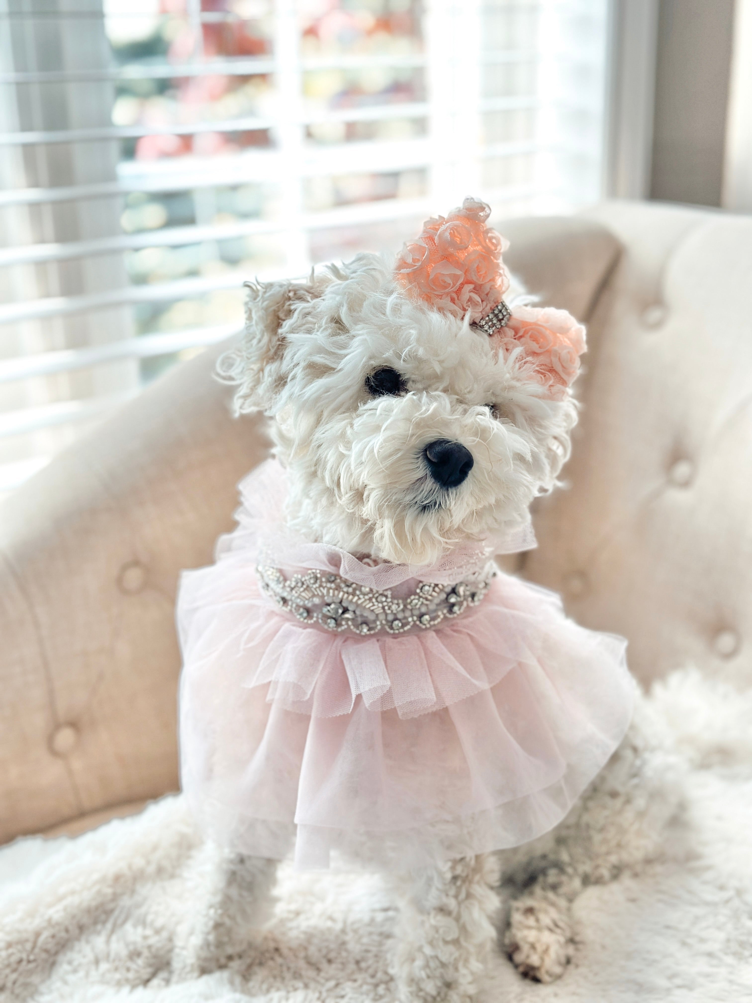 Whimsical Wedding: J’Adore