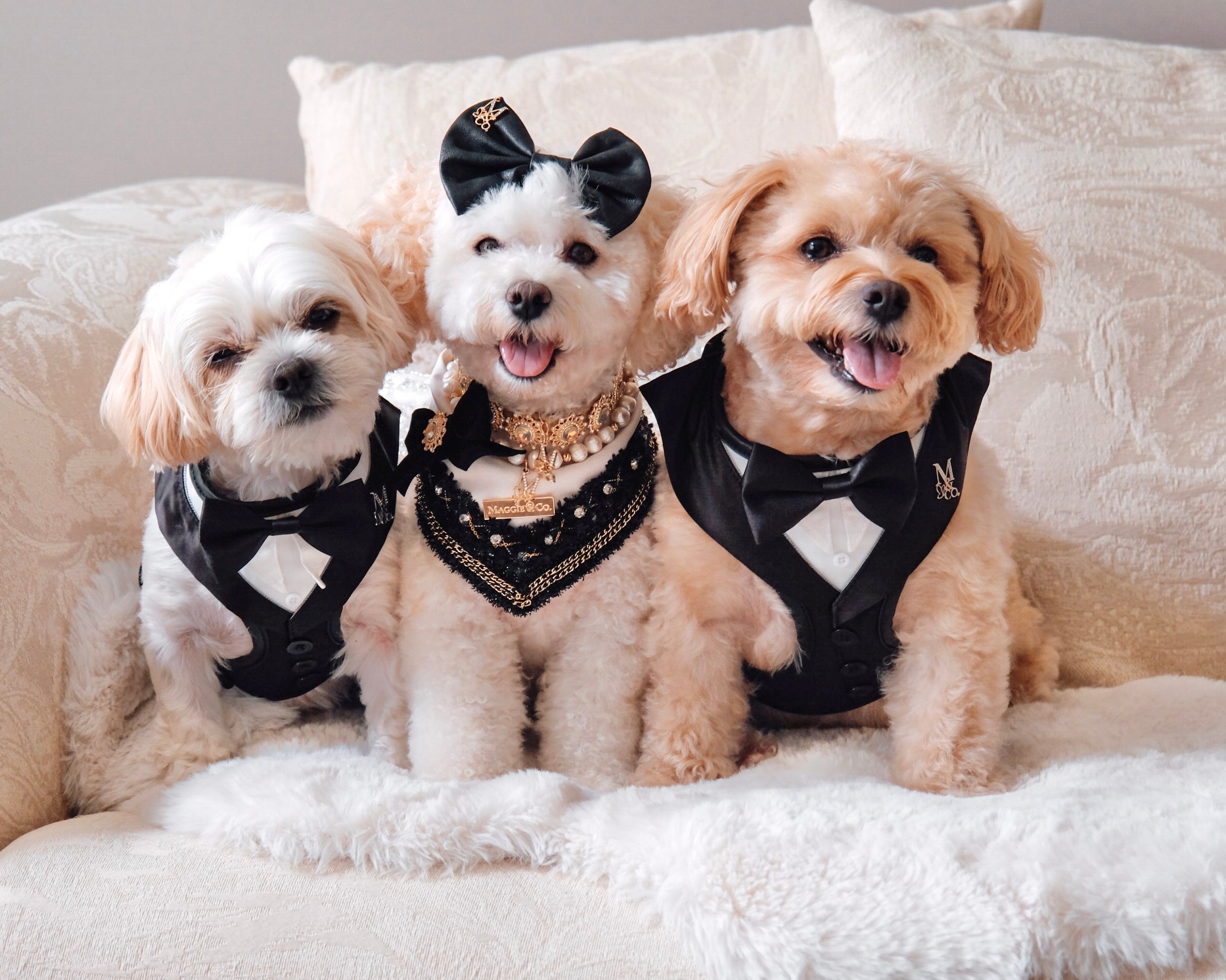 Formal Affair Afterparty: Fairytale Gem Necklace