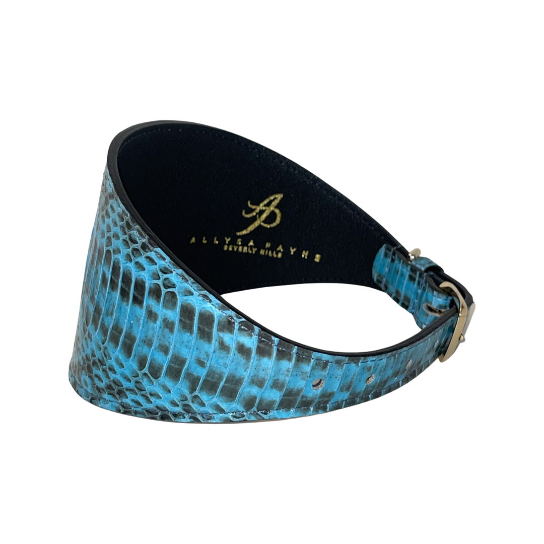 Turquoise & Black 3” Wide Style Collar
